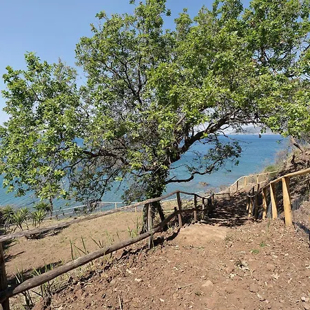 Villa Licosa Paradise